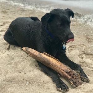 Meet your Posher, Christine